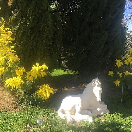 B&B Mas Les Lecques Beaucaire  Dış mekan fotoğraf