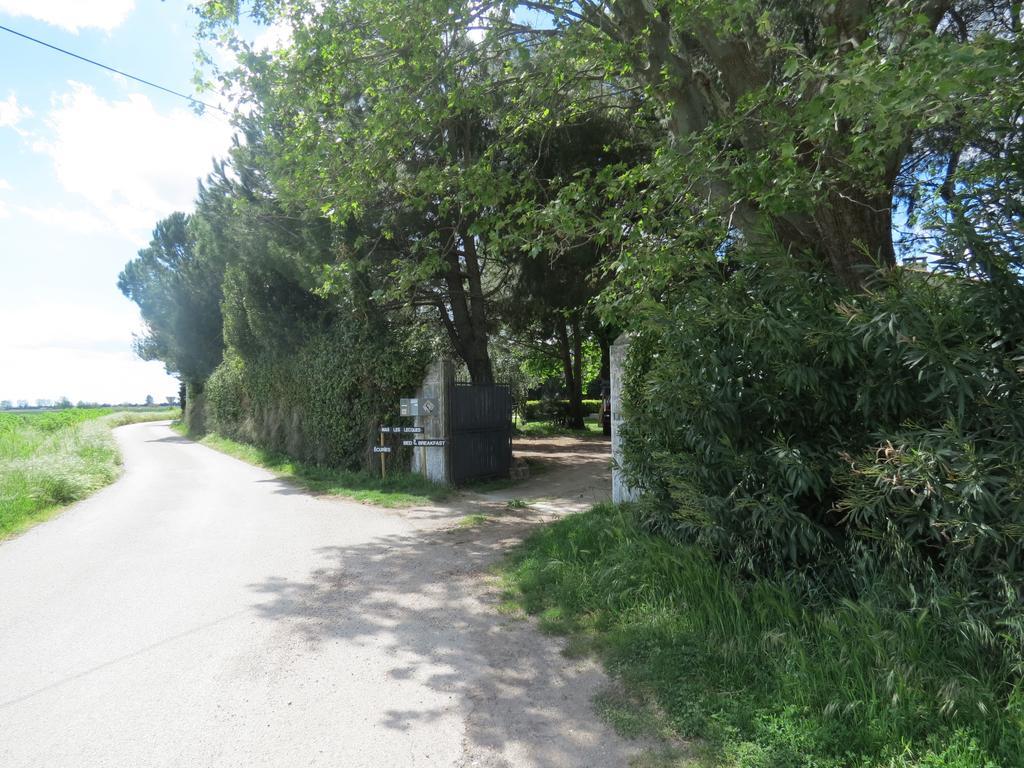 B&B Mas Les Lecques Beaucaire  Dış mekan fotoğraf