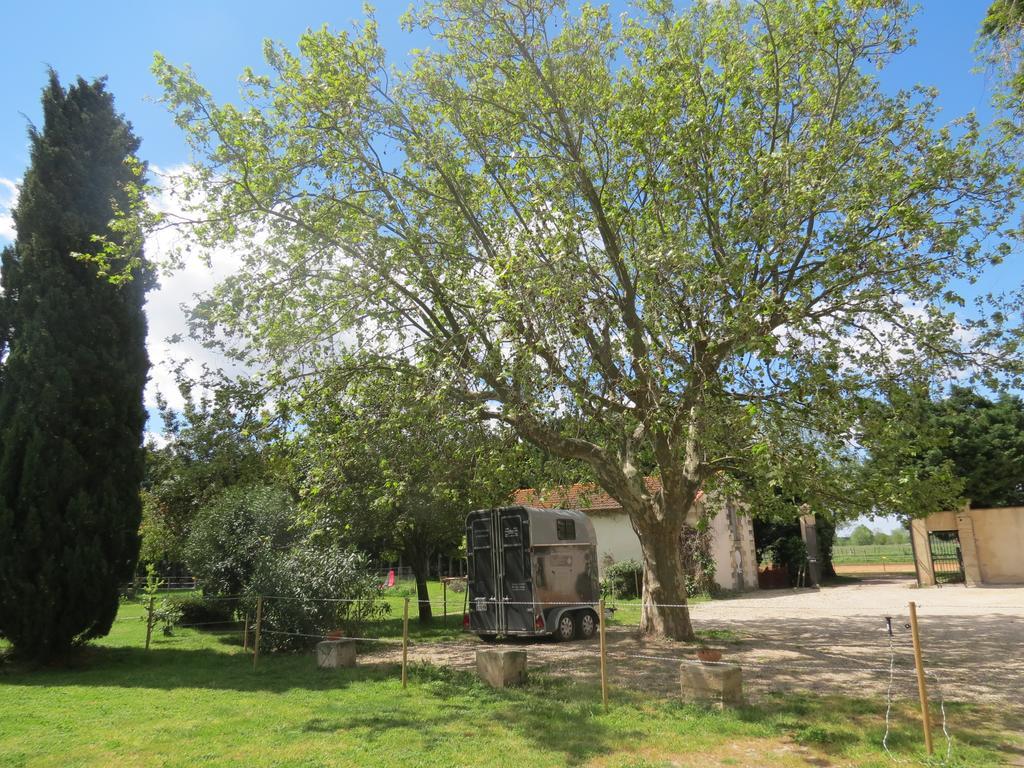B&B Mas Les Lecques Beaucaire  Dış mekan fotoğraf