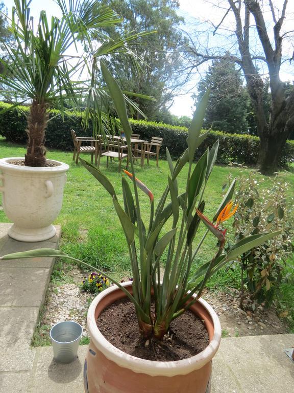 B&B Mas Les Lecques Beaucaire  Dış mekan fotoğraf