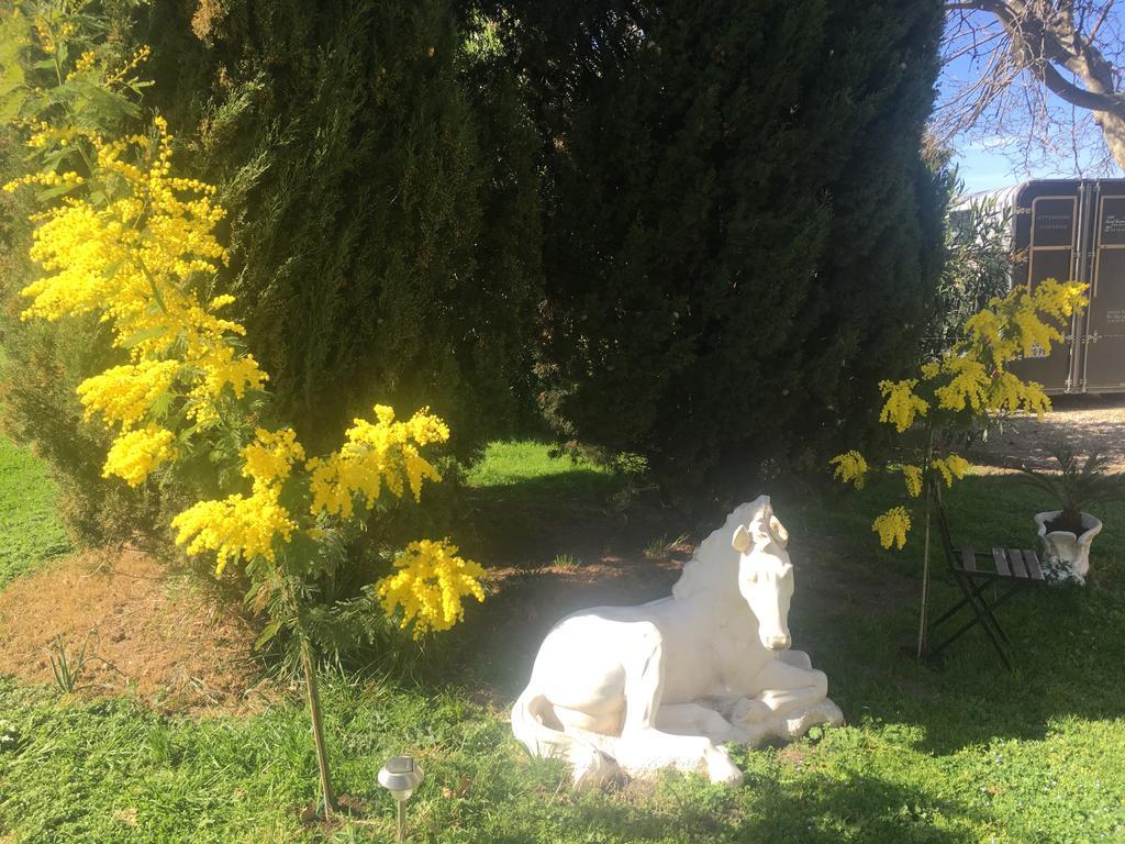 B&B Mas Les Lecques Beaucaire  Dış mekan fotoğraf